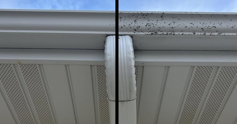White window latch connecting two metal and mesh panels under a gray overhang